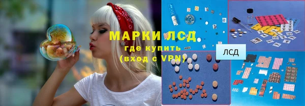 индика Россошь