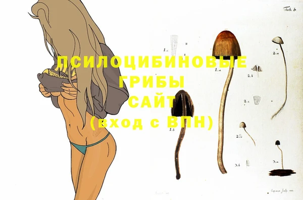 мескалин Алексеевка